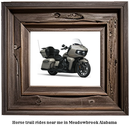 horse trail rides near me in Meadowbrook, Alabama